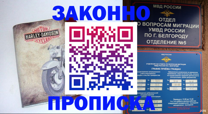 прописка для школы в Калаче